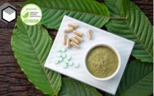 This image has an empty alt attribute; its file name is Differences-Between-Kratom.jpg